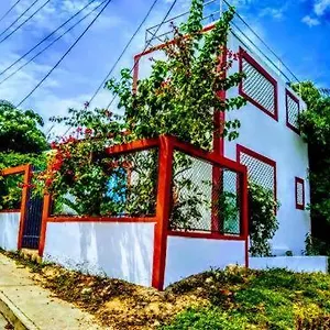 Pensión Hamacas, Cartagena